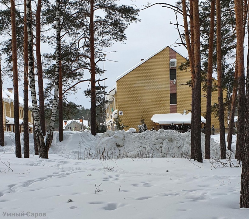 Снег в перелеске.jpg